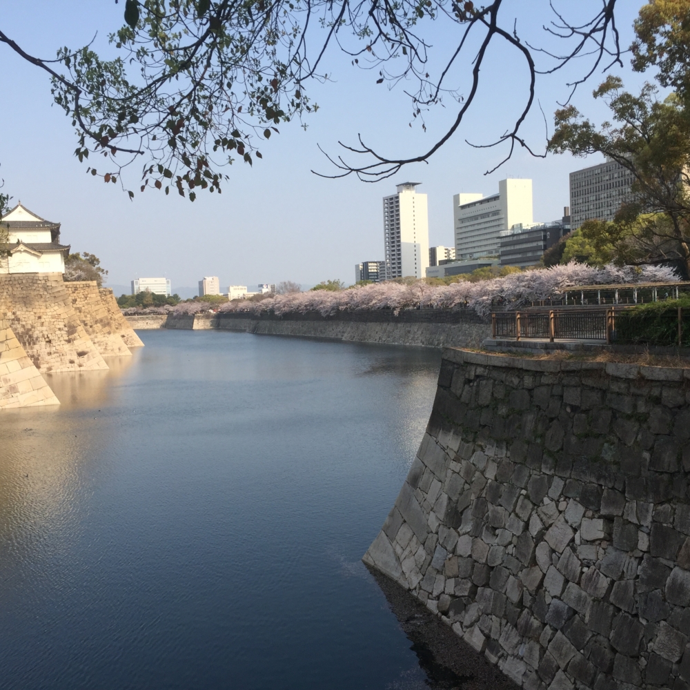 大阪城　桜　花見　お堀