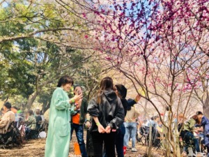 大阪城 花見 桜 BBQ