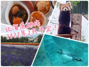 北海道　国内　旅行　研修