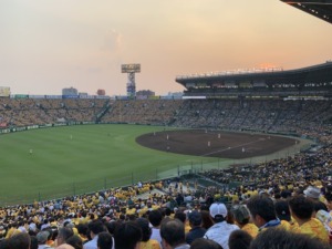 甲子園 阪神 タイガース 猛虎