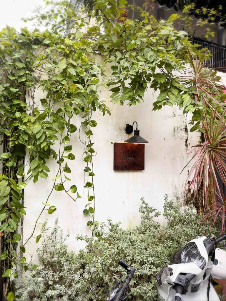 海外 ベトナム お土産taran.