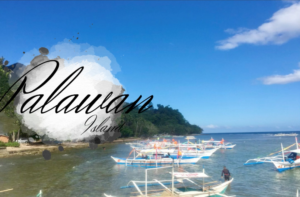 パラワン島 フィリピン　海外研修