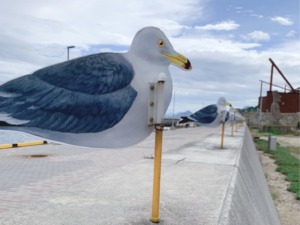 瀬戸内 芸術祭 女木島 高松